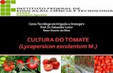 Cultura Do Tomate
