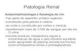 Patologia Renal Glomerular