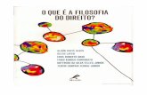 50786783 O Que e Filosofia Do Direito Alaor Caffe Alves e Outros
