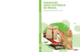 Formação Sócio-Histórica do Brasil