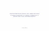 fenomenologia da religião - cácio silva - livro