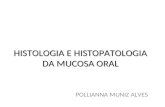 Roteiro de histologia da mucosa oral.ppt