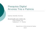 Andres-AED Trie e Patricia
