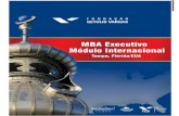 Programa MBA Executivo Internacional 2013.pdf