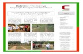 Boletim nº 12 da Cooperação Portuguesa na Guiné-Bissau - janeiro-fevereiro de 2013