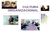 2 Cultura nas Organizações