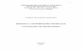 CARINA DE BARROS BARADEL, DIDÁTICA: CONTRIBUIÇÕES TEÓRICAS E  CONCEPÇÕES DE PROFESSORES. monografia