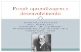 Freud aprendizagem desenvolvimento e fases