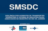 3   vigilância dos acidentes de transportes terrestres e fatores de risco e proteção associados no município do rio de janeiro