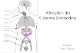 Afecções do sistema endócrino  -- dm