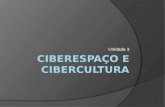 Ciberespaço And Cibercultura