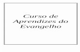 Livro curso de aprendizes do evangelho (1)