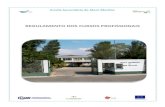 58684502 regulamento-dos-cursos-profissionais-2011