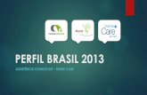 Perfil brasil 2013 assistência domiciliar   home care