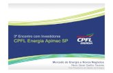 Mercado de Energia e Novos Negócios - Sr. Paulo Cezar Coelho Tavares
