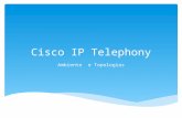 Cisco Call Manager - Ambiente e Topologias