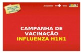 Influenza H1N1