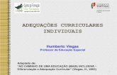Adequa§µes curriculares-individualizadas