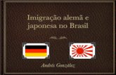 Imigração ao brasil
