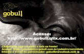 Material apostila de apresentacao sobre a gobull completa 2013