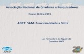 ANCP SAM: Funcionalidade a Vista