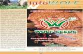 Informativo Wolf 07