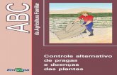 Controle alternativo de pragas e doenças nas  plantas
