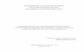 Monografia   avaliação do ensino superior - universidade salgado de oliveira