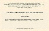 Regiões Fitoecológicas do Maranhão (IBGE, 2012)