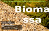 Energias Renováveis - Biomassa