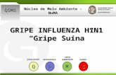 Apresentação gripe influenza h1n1