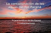 Contaminacion en el Rio Parana