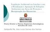 Plano Diretor Estratégico e Planos Regionais do município de São Paulos