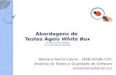 Apresentação testes white box