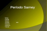 Período Sarney - 3M2