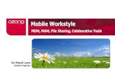 Mobile Workstyle & Enterprise Mobility Management-public