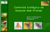 Controle biológico de moscas-das-frutas