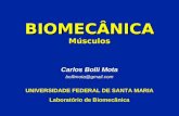 Biomecânica - Músculos