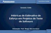 Métricas de estimativa de esforço em projetos de teste de software