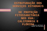 III WSF, Campinas – Aldo Malavasi - Estruturação Dos Serviços Estaduais De Proteção Fitossanitária  Nos Eua: California E Flórida