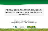 II WSF, São Paulo - Rafael Moreira - FERRUGEM ASIÁTICA DA SOJA: Impacto da entrada da doença no Brasil