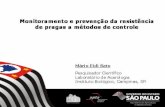 III WSF, Campinas – Mario Eidi Sato - Monitoramento e prevenção da resistência de pragas a métodos de controle