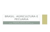Brasil agricultura e pecuária