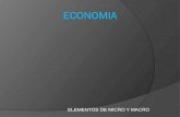 Economia elementos de micro y macro