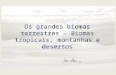 Os grandes biomas terrestres – Biomas tropicais