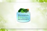 Apresentação Reserva Especial Mapendi_28/06/2010