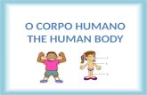 Corpo humano   the human body