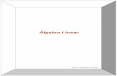 Apostila de-algebra-linear-1235013869657841-2