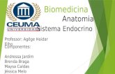 Slide Biomedicina