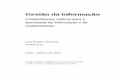 Competências críticas para a Sociedade da Informação e do conhecimento